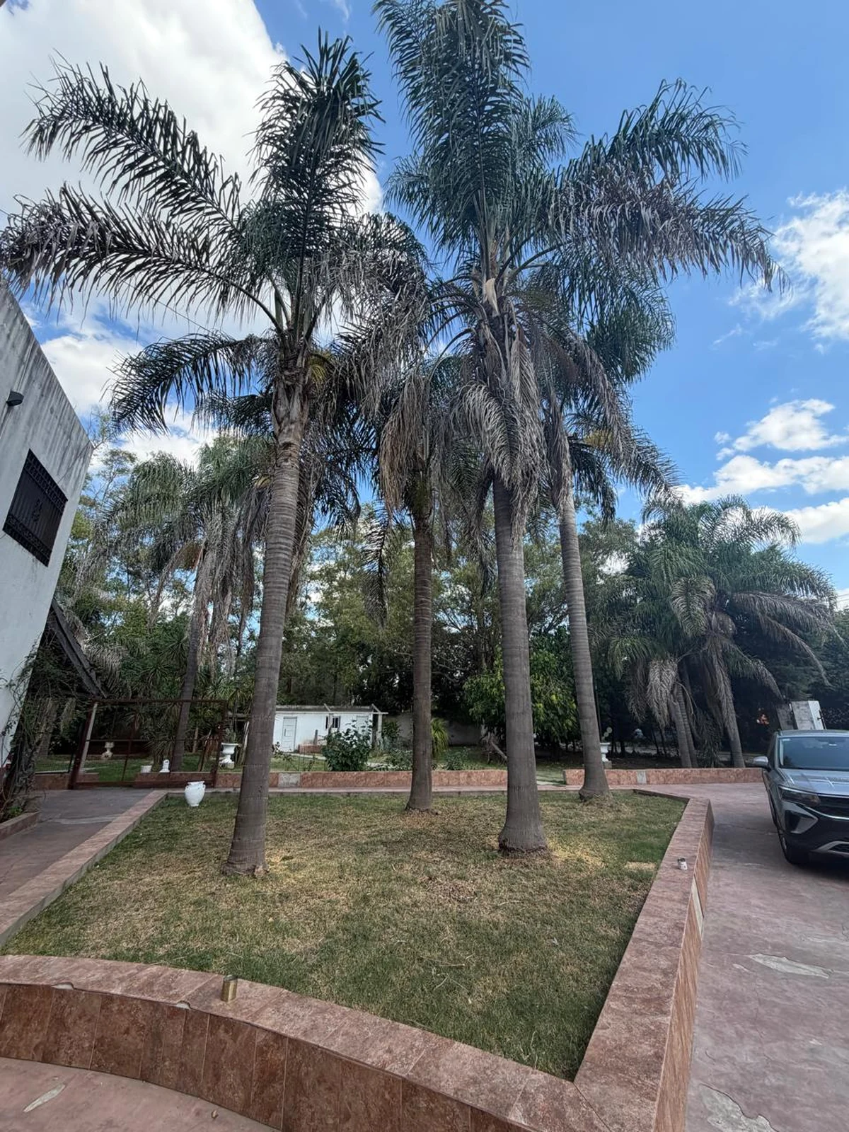 Parque y jardines de Fundación Vida Plena en Pilar